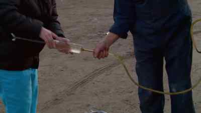 Just push down.
Keep pushing hard. - The Incredible Dr. Pol