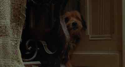 Just relax until Riley gets back, come on. - Benji