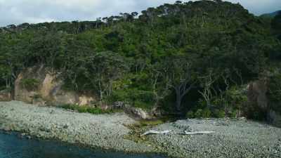 Just six kilometres across, - Modern Dinosaurs