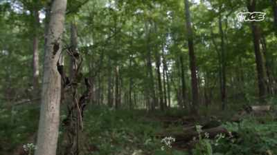 Just southwest of
where they lived. - Small Town Secrets