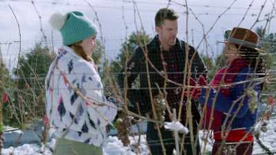 Just take a deep breath
and start again. - A Vineyard Christmas