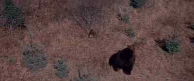 Just takes one rocket. - Grizzly