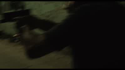 Just the dogs. - End of Watch