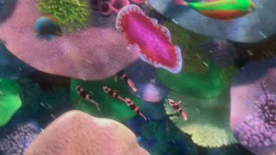 Just the girls this time. - Finding Nemo