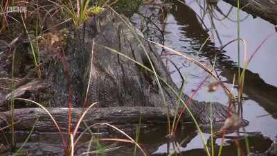 Just after the last ice age, - Grand Tours of Scotland's Lochs