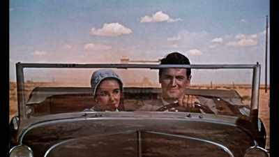 Just the photography alone
is so magnificent. - Rock Hudson: All That Heaven Allowed