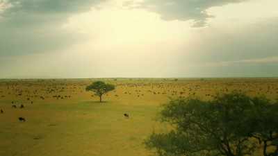 Just as the seasons come and go, - Serengeti