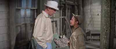 Just so there won't be any misunderstanding son - Mr. Hobbs Takes a Vacation