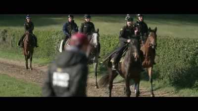 Just because they've
been working well at home - Horsepower