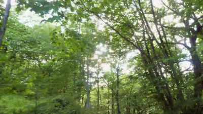 Just think for a minute
how articulate the waggle - Cosmos: Possible Worlds
