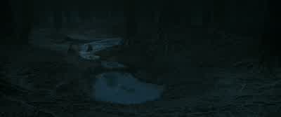 Just think......only three to go. - Harry Potter and the Deathly Hallows: Part 1