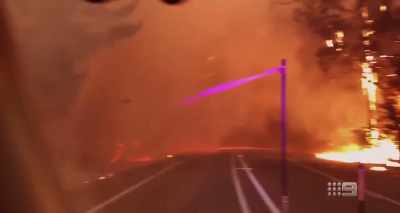 Just through sheer exhaustion,
they collapsed where they were. - A Fire Inside