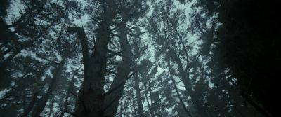 Just try to get it together - Evil Dead