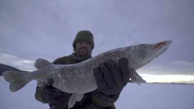 Just trying to unclutter
my life and just take
pleasure in simpler things. - Life Below Zero: Next Generation