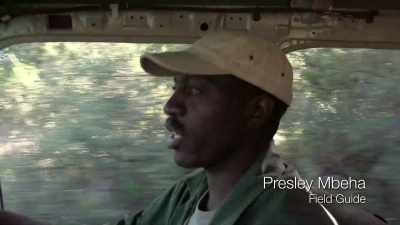 Just, uh...
Just about 20 kilometers from Maun. - In the Footsteps of Elephant