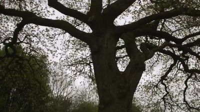 Just walking around in a circle now. - Requiem
