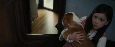 Just wanted to know
what time you'll be home. - A Dog's Journey