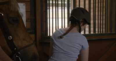 Just wanted to remind you, uh, - Horse Girl