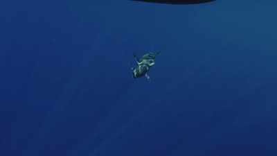  Just wants us to do
 his little spin. - Deadliest Catch: Bloodline
