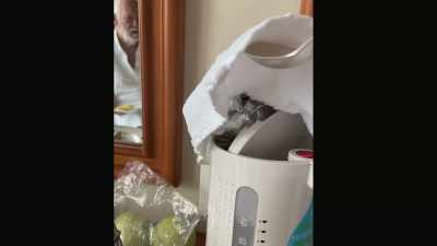 Just warming up my breakfast. - The Last Cruise
