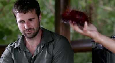 - Just watch, hey,
because it crawls off the log - Kings of Pain