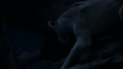 Just what do you think you are doing, young lady? - The Lion King
