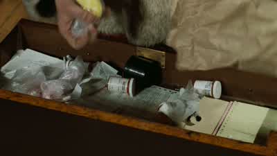 Just what do you think you're doing? - Trading Places