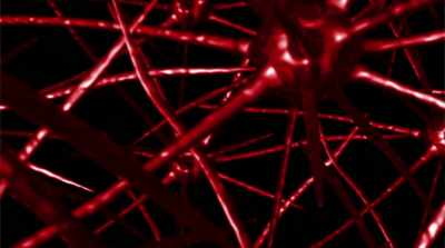 Just what I expected, an
alteration of the cell structure. - Bride of the Werewolf