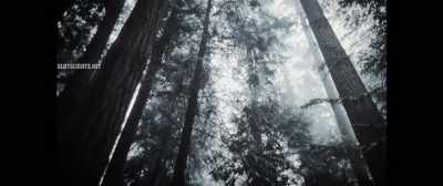 - Just what the invisible friend - Ingress