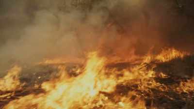 Just as with climate change,
we know what the problems are, - Bring Your Own Brigade