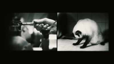 Just as with primates and other animals, - The Minds of Men