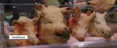 [Justification]
Pig was given to us for food. - Bad Luck Banging or Loony Porn