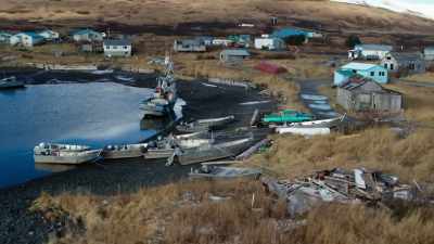 JUSTIN: Looks like we've
got at least four or five - Life Below Zero: First Alaskans