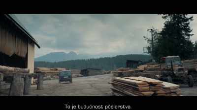 [Kaśka] It's the future of beekeeping. - The Taming of the Shrewd
