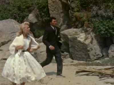 Kahuna, what are you doing? - Gidget