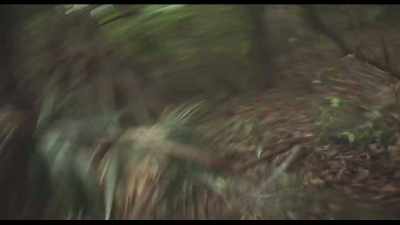 Kait, where are you going?! - Puzzle Box