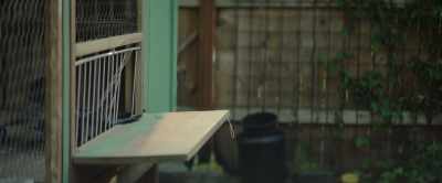 [Kaitlyn]
Things were on the upswing. - Little Wing