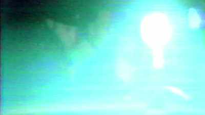 Kalbfleisch:
IF WE MADE MISTAKES, - Children of the Snow