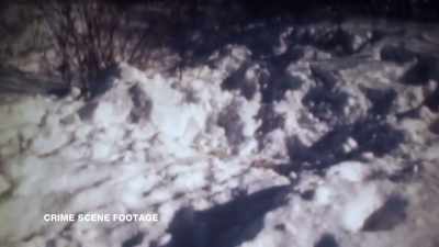 Kalbfleisch:
WHEN KRISTINE MIHELICH'S BODY
WAS FOUND, - Children of the Snow