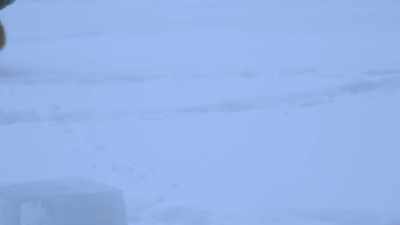 KALEB: 11, 12, 13.
Does that make 23? - Life Below Zero: Next Generation