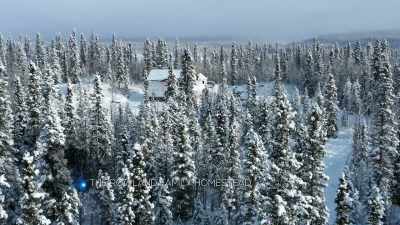 KALEB: Before I head out on
this wood gathering expedition, - Life Below Zero: Next Generation