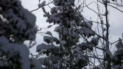 KALEB: The first thing we need
to do is secure our snare to - Life Below Zero: Next Generation