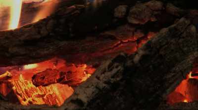 - [Kalo] The twins
joining us now - Shangri-La: Near Extinction