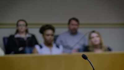 Karas:
IT WASN'T HUMAN BLOOD AT ALL, - An American Murder Mystery: The Staircase