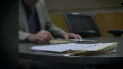 Karas:
NOW, AMONG THE EVIDENCE - An American Murder Mystery: The Staircase