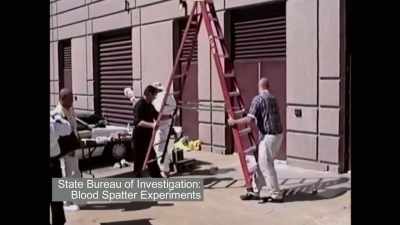 Karas: THE SAME TECHNICIAN
WHO TESTIFIED - An American Murder Mystery: The Staircase