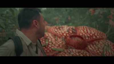 Karla! Wake up! - Virgin Forest
