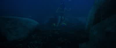 - Kate, are you okay? - 47 Meters Down