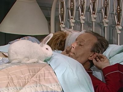         [Kate groaning] - ALF