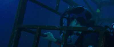 Kate, I'm scared.
What if the sharks come? - 47 Meters Down